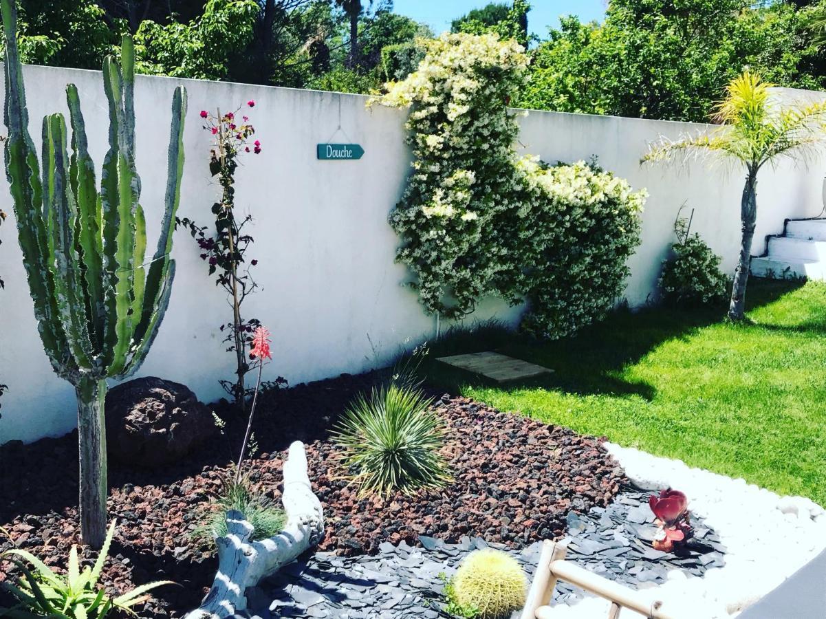 Le Sud Bed & Breakfast