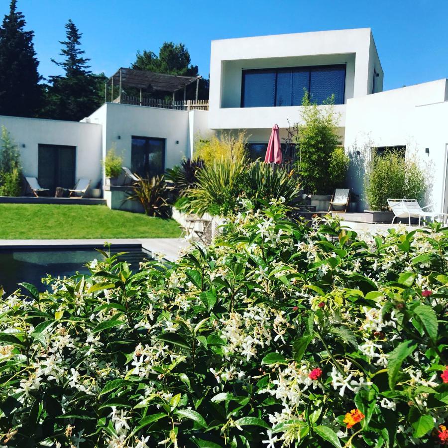 Le Sud Bed & Breakfast