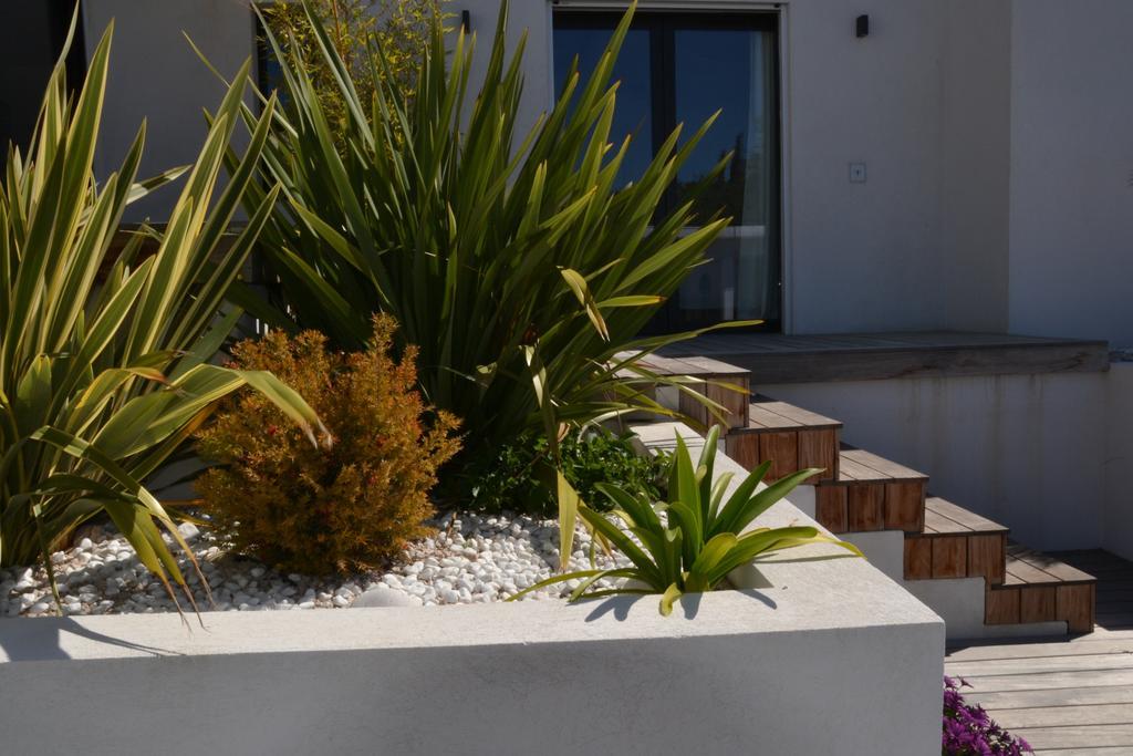 Le Sud Bed & Breakfast Cassis